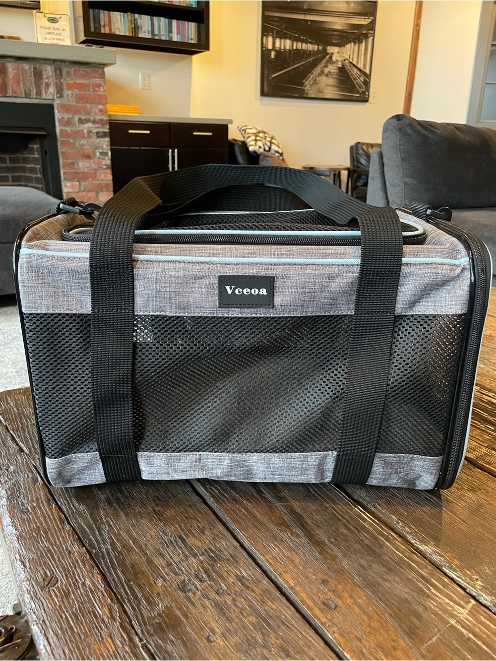 Vceoa Gray, Blue & Black Travel Pet Carrier Bag for Small Dogs & Cats